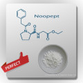 Polvo Noopept de alta calidad al 99%, suplemento Nootrópico Noopept a granel, CAS 157115-85-0